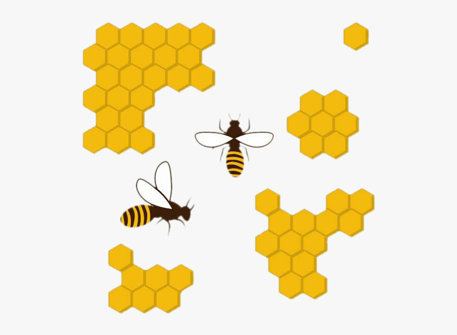 Transparent Honeycomb Design Clipart - Honey Bee Comb Clipart, Transparent Clipart