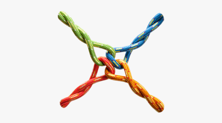 Four Knotted Ropes - Introducing Employment Relations, Transparent Clipart