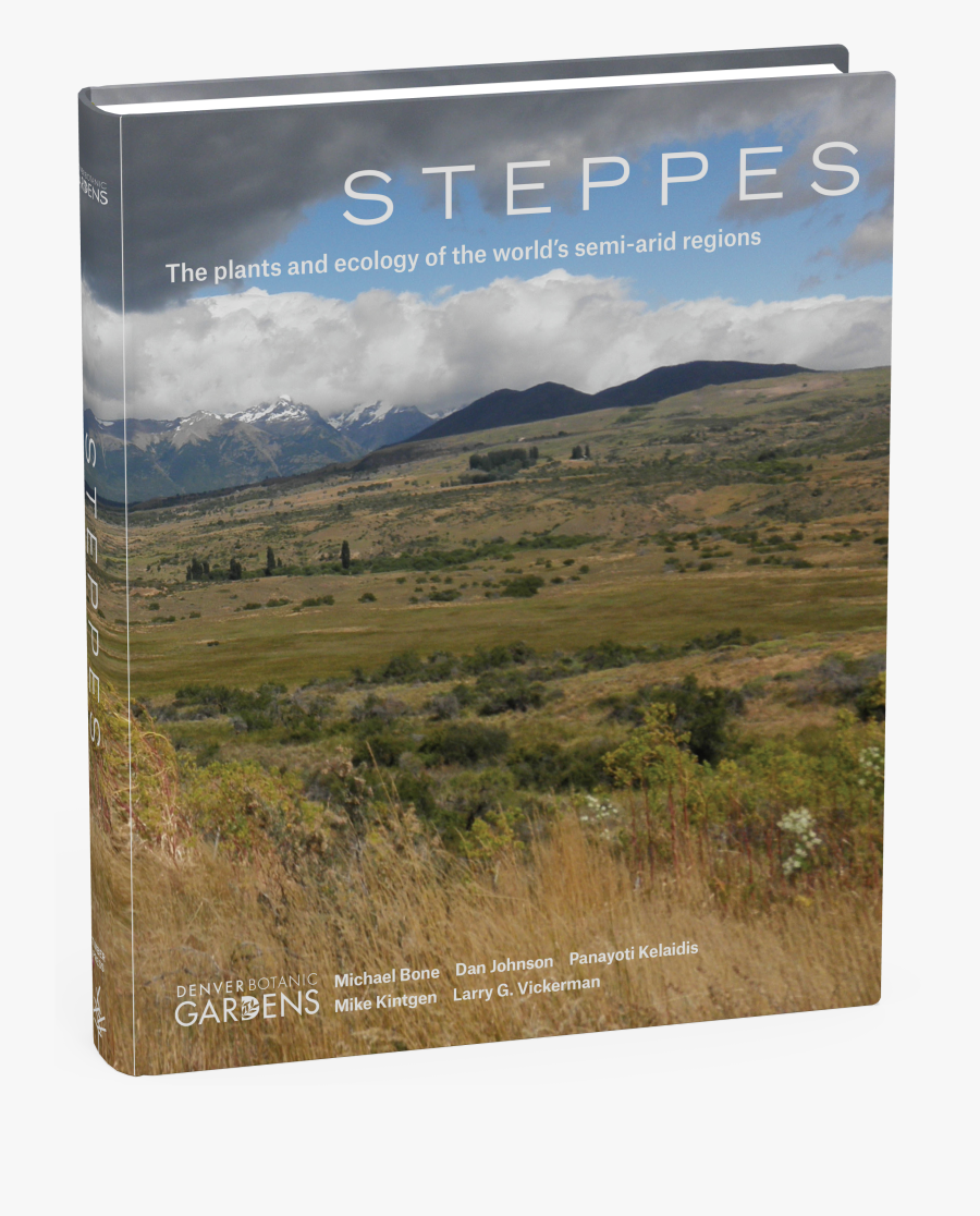 Transparent Grassy Hill Png - Steppes Size, Transparent Clipart