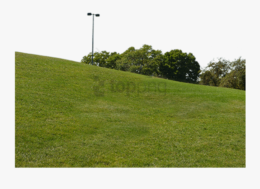 Meadow - Perspective Grass Texture Png, Transparent Clipart