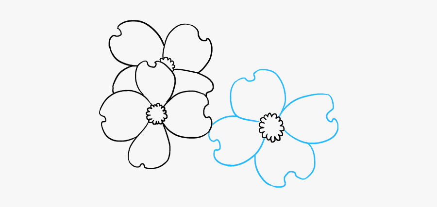 How To Draw Dogwood Flowers - Line Art, Transparent Clipart