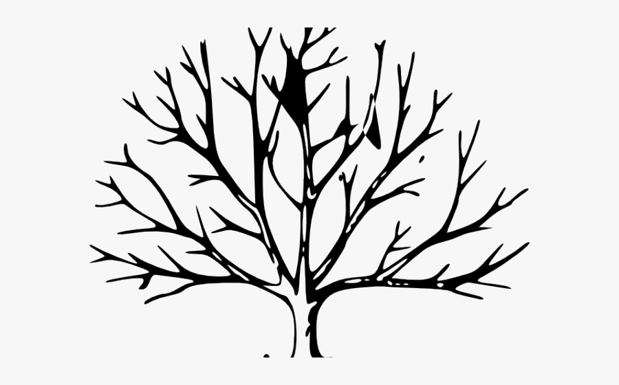 Dogwood Tree Drawing - Leave Less Tree Drawing, Transparent Clipart