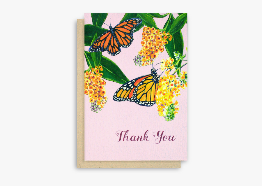 Monarch Butterfly Card, Transparent Clipart