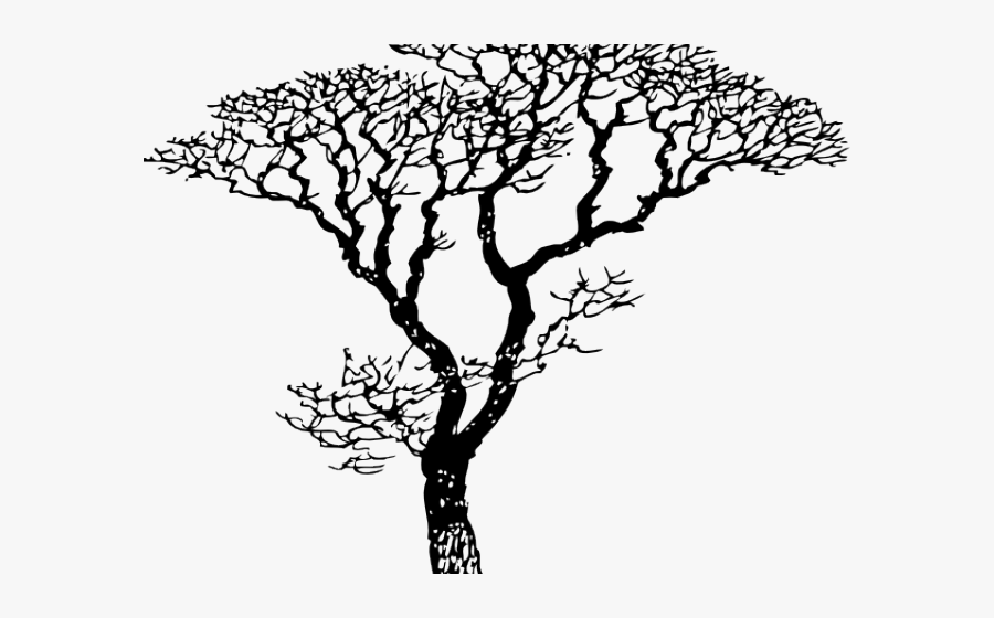 Dogwood Tree Drawing - Vector Tree Draw, Transparent Clipart