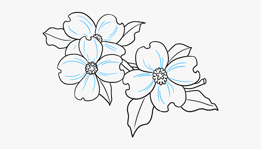 How To Draw Flowers - Dogwood Flower Drawing Easy, Transparent Clipart