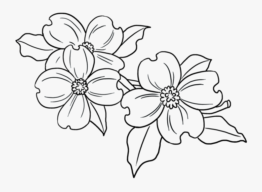 Easy Guides On Twitter, Transparent Clipart