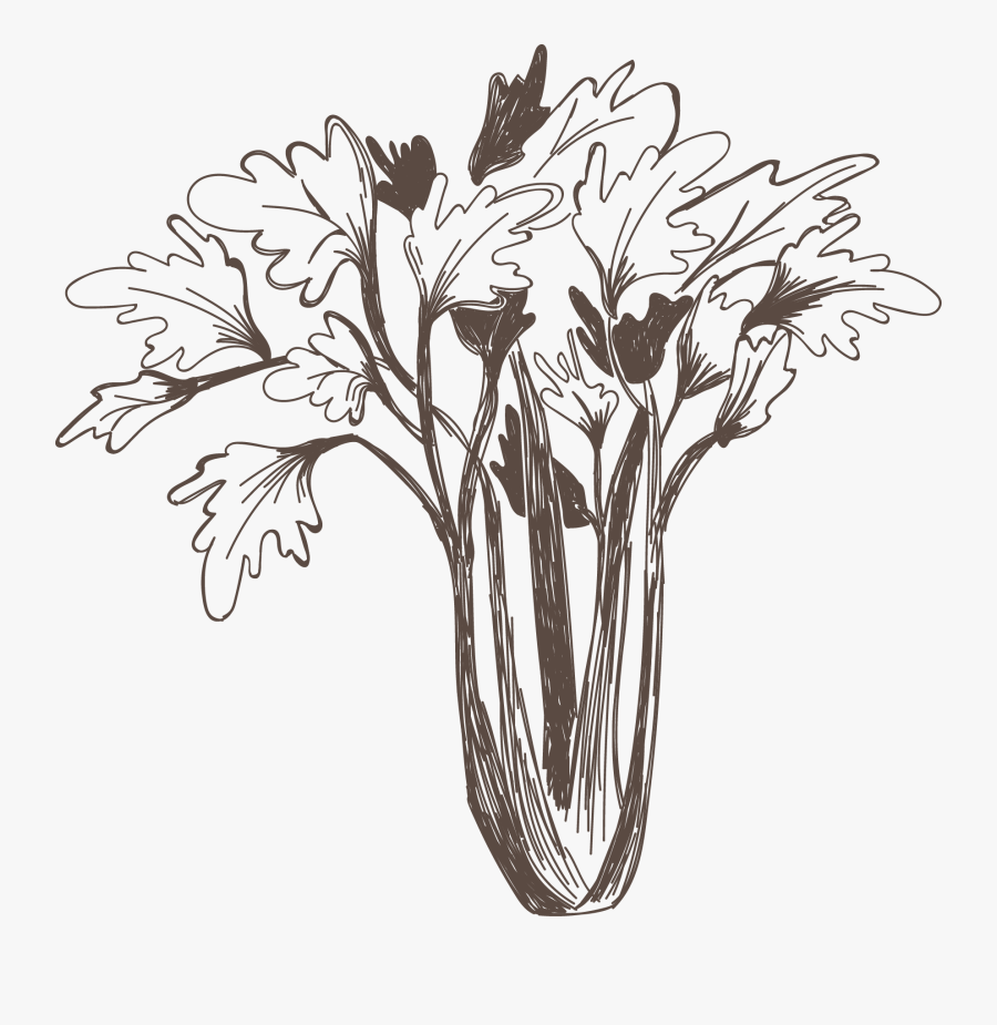 Transparent Celery Png - Bouquet, Transparent Clipart