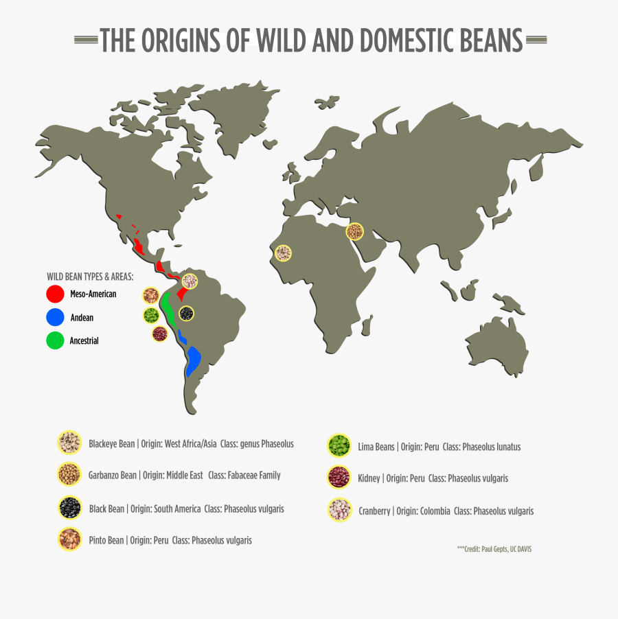 Transparent World Map Png Transparent Background - World Maps Black And Wight, Transparent Clipart