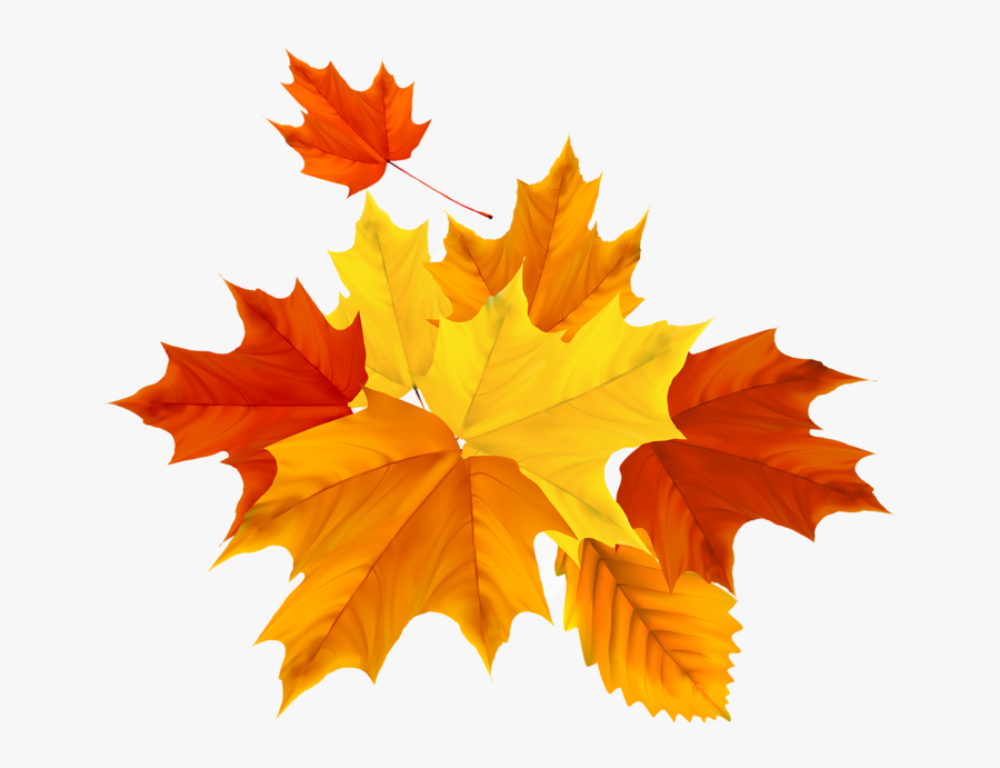 Фото, Автор Soloveika На Яндекс - Maple Leaf, Transparent Clipart