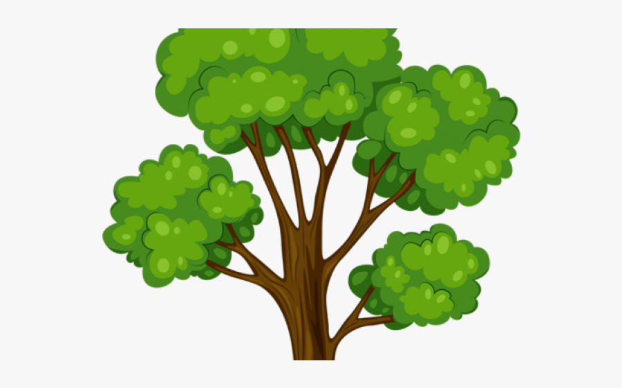 Transparent Background Tree Clipart, Transparent Clipart