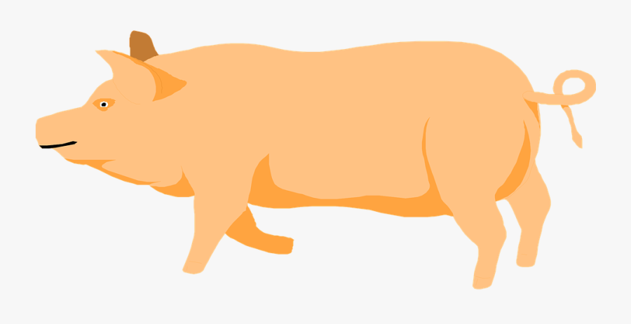 Barn, Farm, Pig, Walking, Animal, Prancing - Pig Walking Png, Transparent Clipart