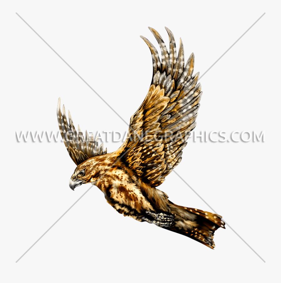 Golden Eagle, Transparent Clipart