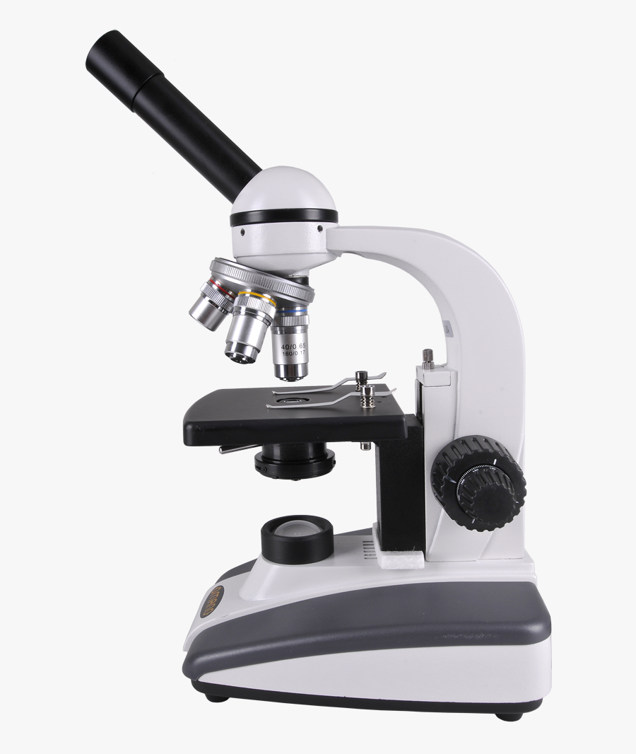 Clip Art Diagram Quizlet Location - Transparent Background Microscope Png, Transparent Clipart