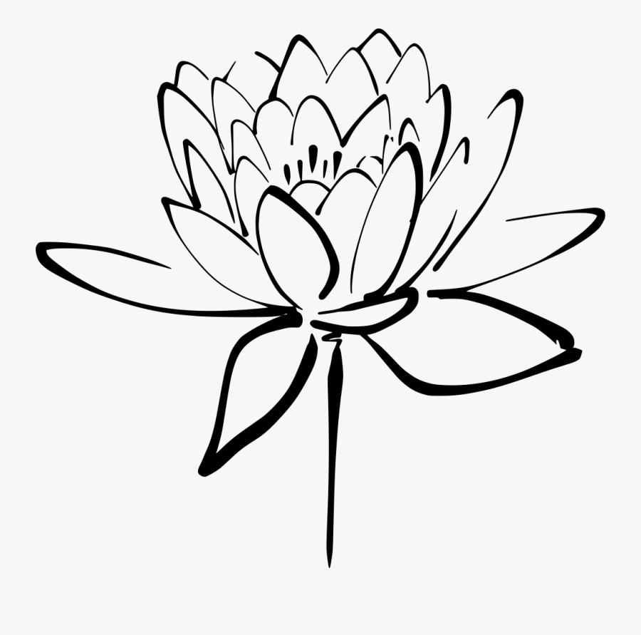 Transparent Flower Petal Png - Lotus Flower Black And White, Transparent Clipart