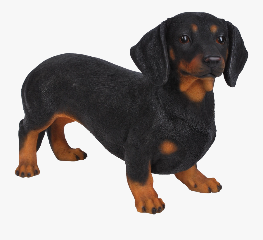 Dachshund Png - Dachshund Statues, Transparent Clipart