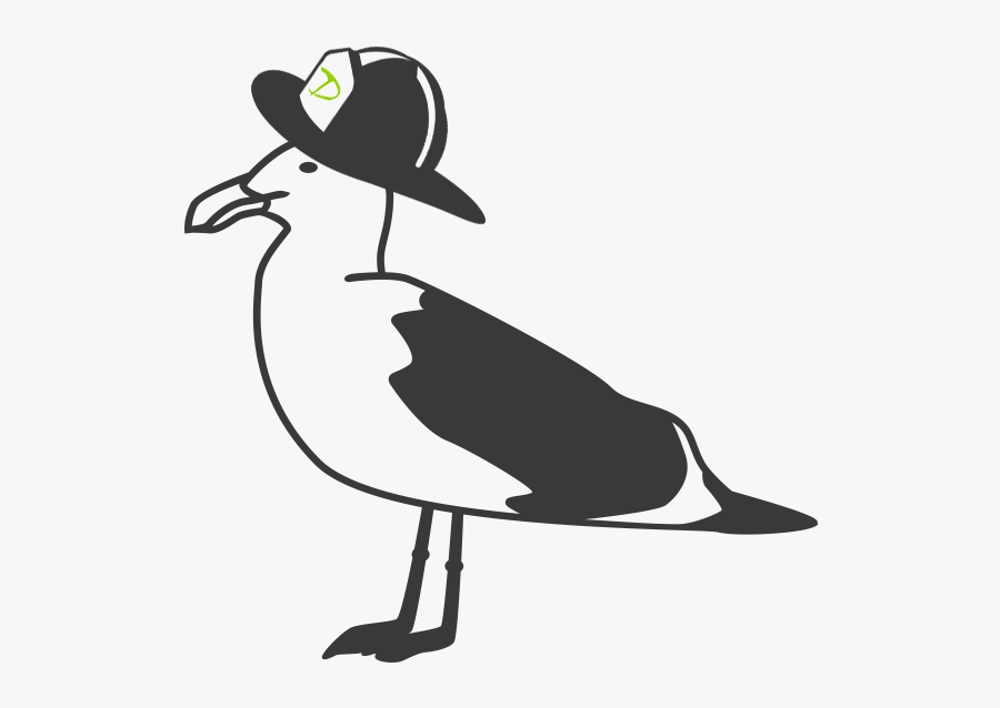 Gull - Cartoon, Transparent Clipart