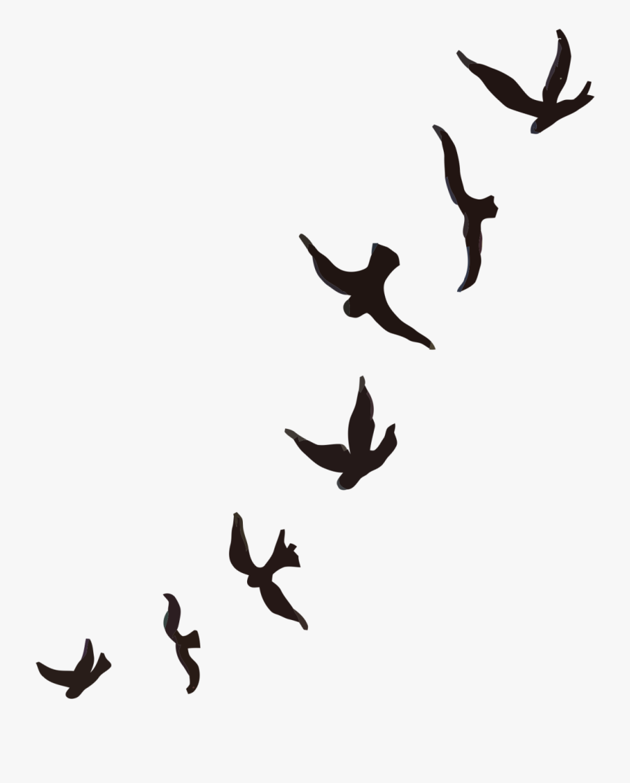 Mountain Bluebird Tattoo Sparrow Cygnini - Small Birds Black Png, Transparent Clipart