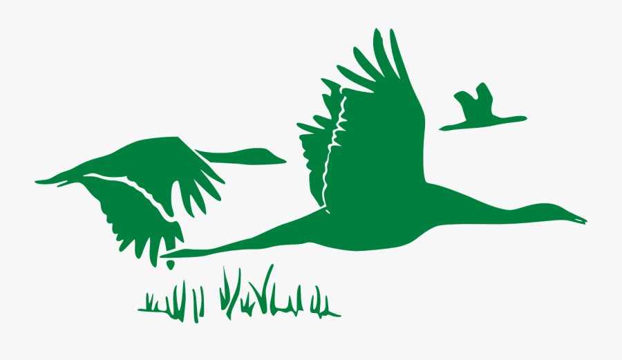 Geese Flock Flying Free Picture - Best Life Quotes Rumi, Transparent Clipart