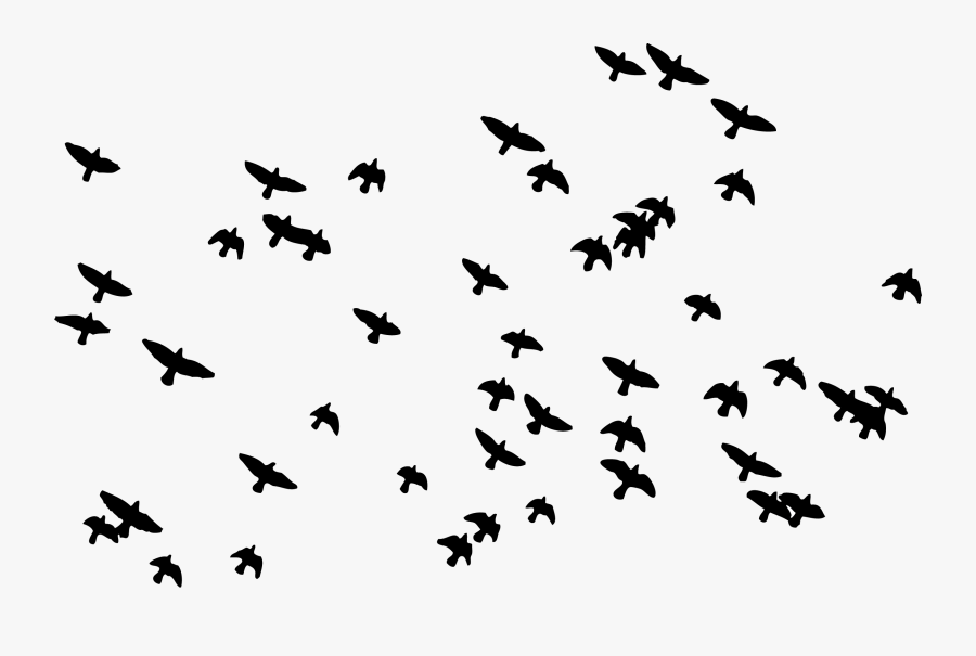 Hamid Bakeri, Transparent Clipart