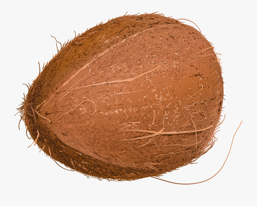Portable Network Graphics, Transparent Clipart