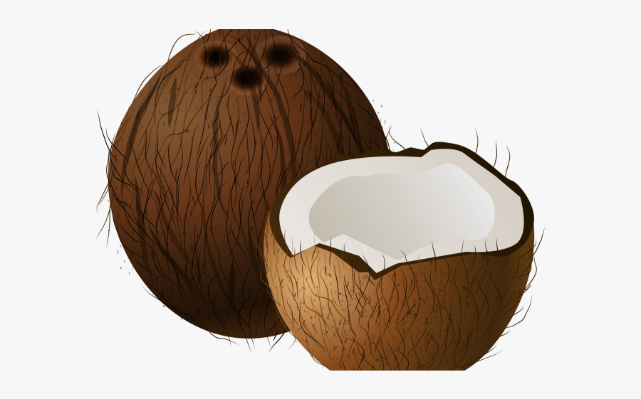 Clip Art Of Coconut, Transparent Clipart