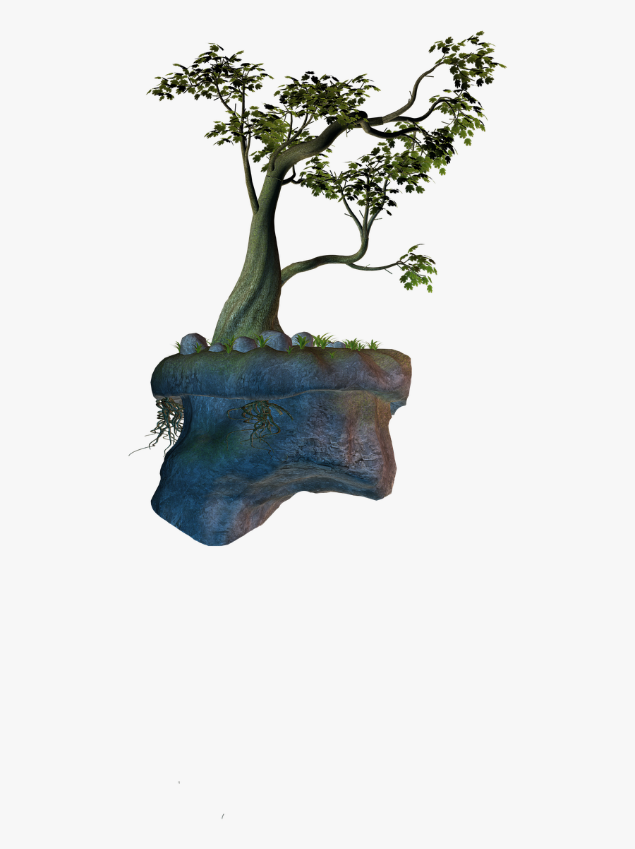 Arbol En Isla Flotante, Transparent Clipart