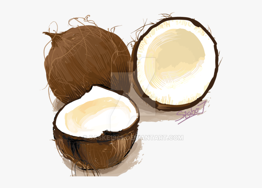 Coconuts Vector Illustration - Cake, Transparent Clipart