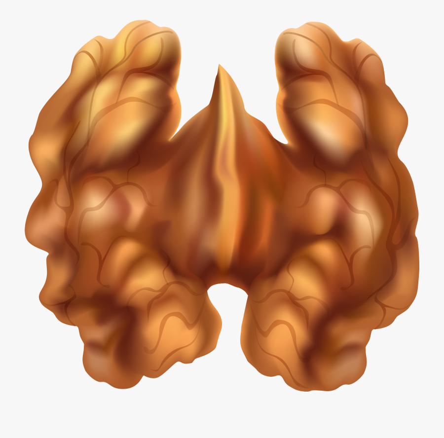 Half Png Clip Art - Walnuts Clipart Png, Transparent Clipart