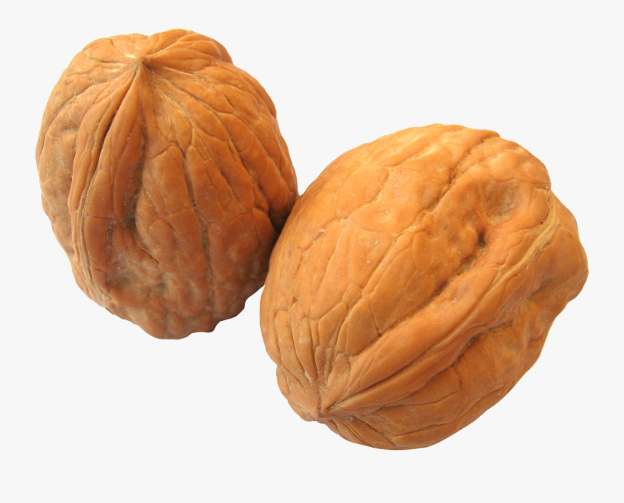 Walnut Png - Ball Wash, Transparent Clipart