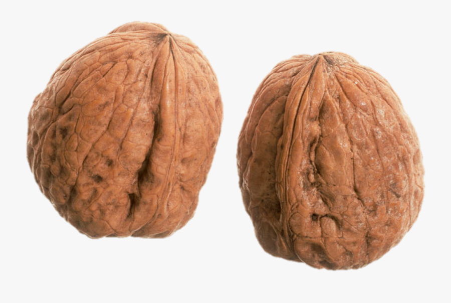 A Wrinkly Pair Of Nuts - Walnut, Transparent Clipart