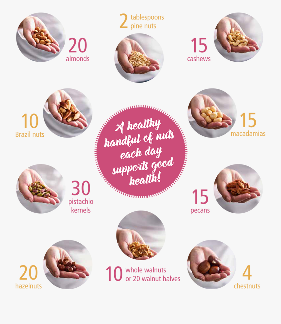 Transparent Walnuts Png - 30 G Of Almonds, Transparent Clipart