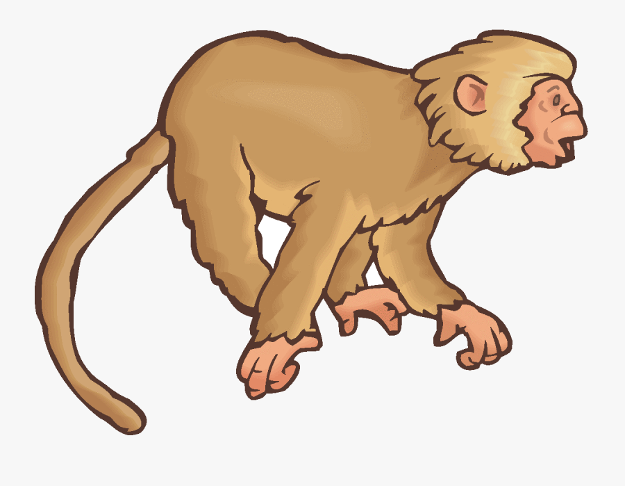 Monkey Best Clipart Transparent Png - Realistic Monkey Clipart, Transparent Clipart
