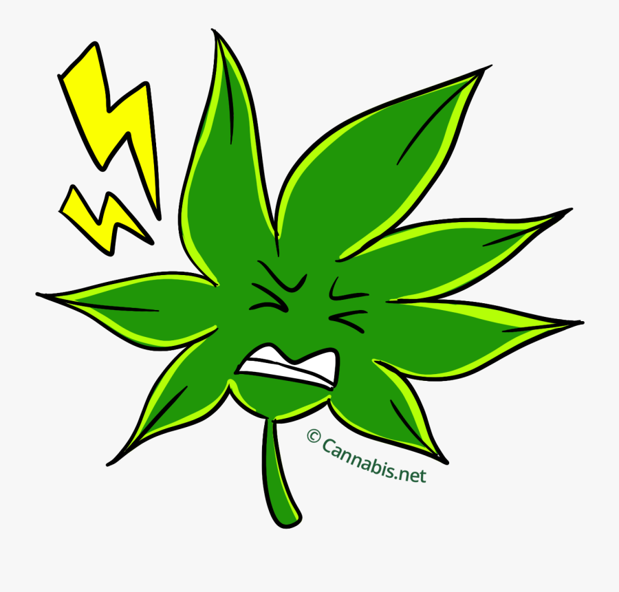 White Fire Og Muscle, Transparent Clipart