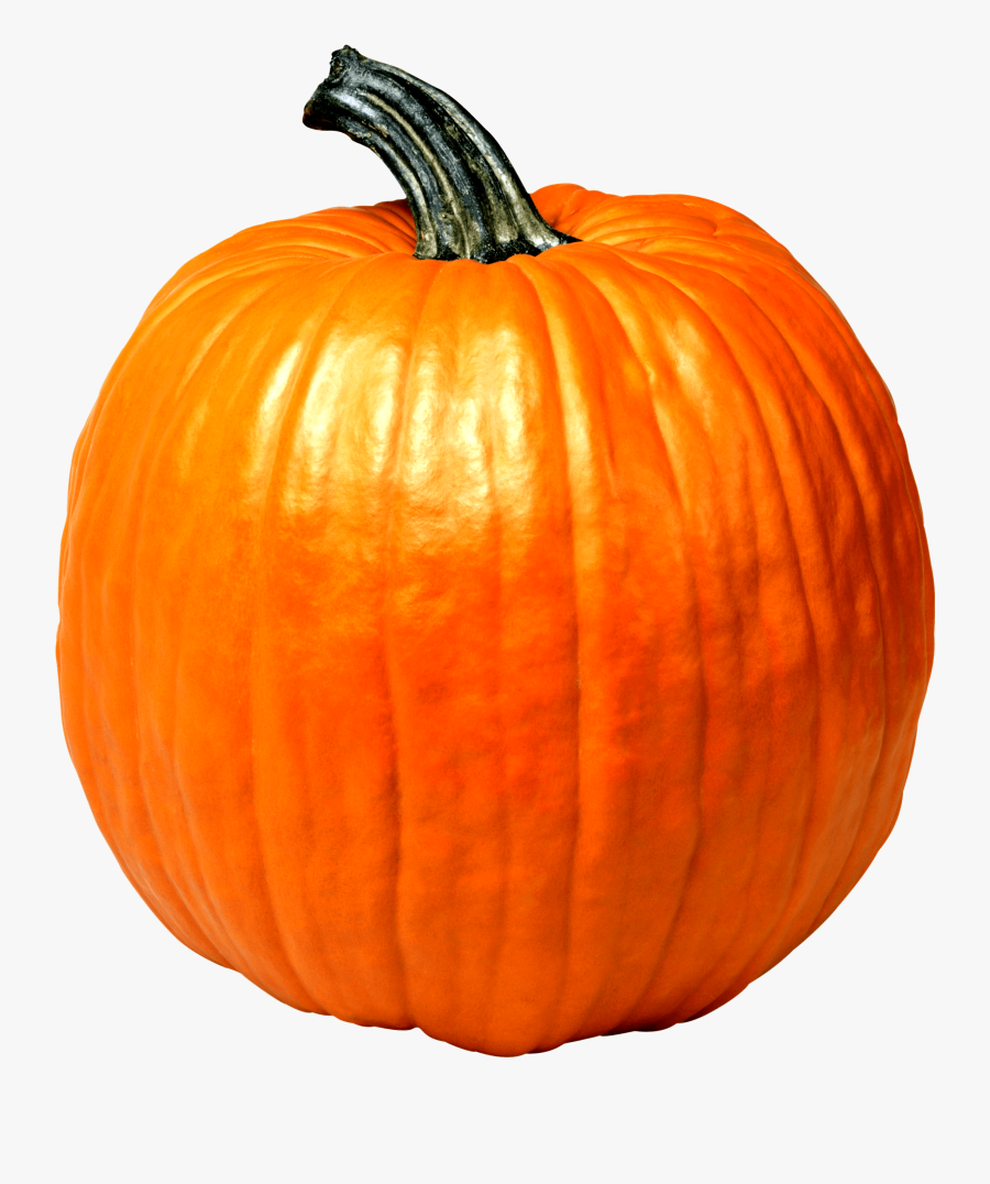 Wheres Waldo Pumpkin Edition Png Cute Pumpkin Meme - Single Picture Of Vegetables, Transparent Clipart