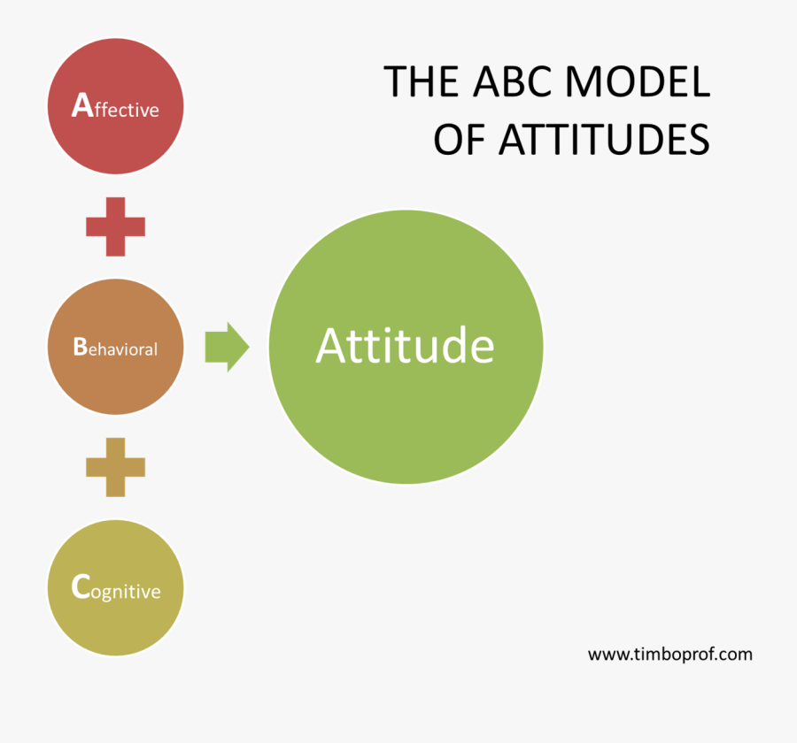 Clip Art Abc Graphics - Attitude Abc Model, Transparent Clipart
