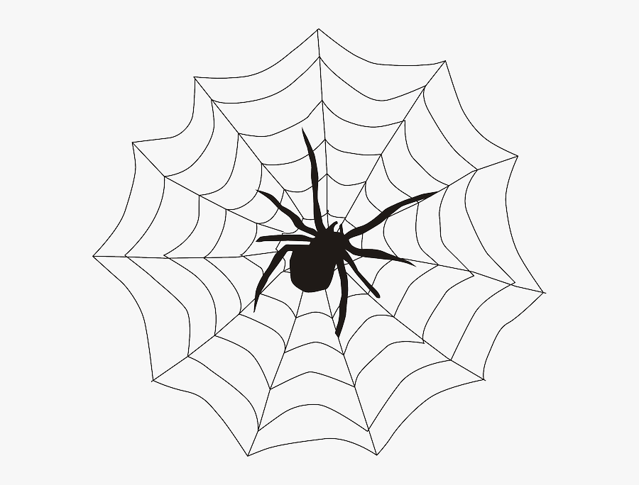 Spider On A Web Clipart, Transparent Clipart