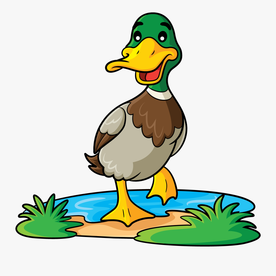 Duck Mallard Cartoon Transparent, Transparent Clipart