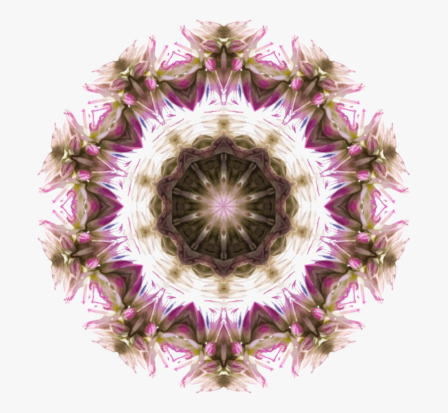 Purple,petal,flower - Fractal Art, Transparent Clipart