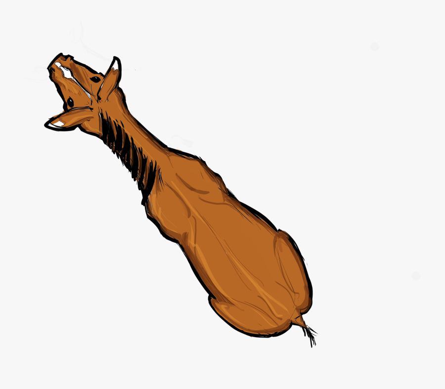Transparent Horse Png - Horse From Above, Transparent Clipart