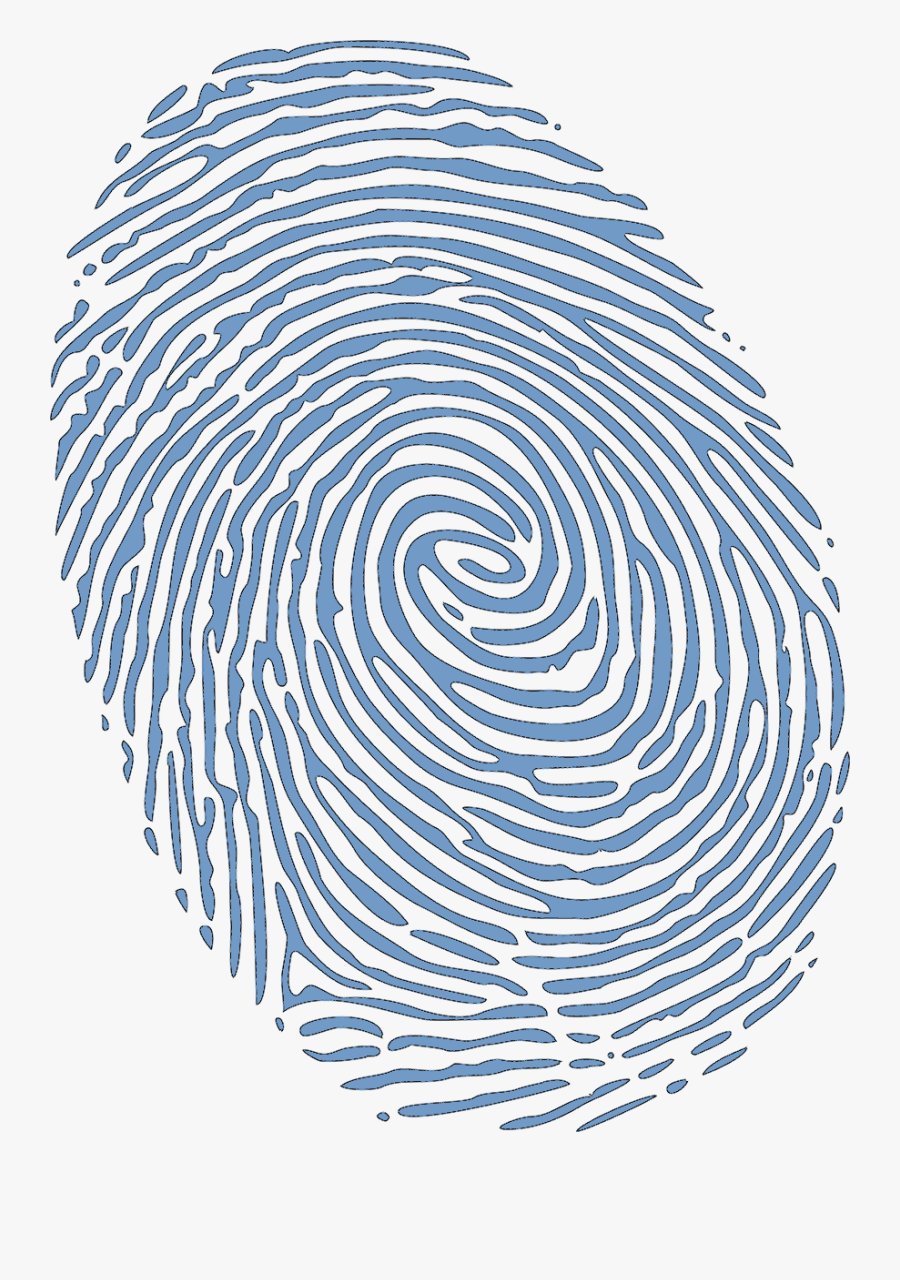 Fingerprint Transparent Identity Theft - Fingerprint Outline No Background, Transparent Clipart