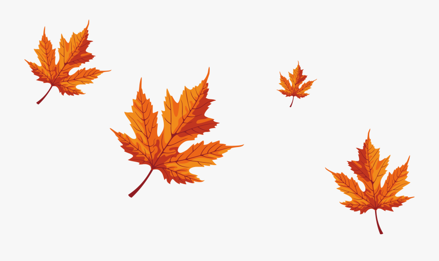 Maple Leaf Red Maple - Autumn Leaves Vector Png, Transparent Clipart