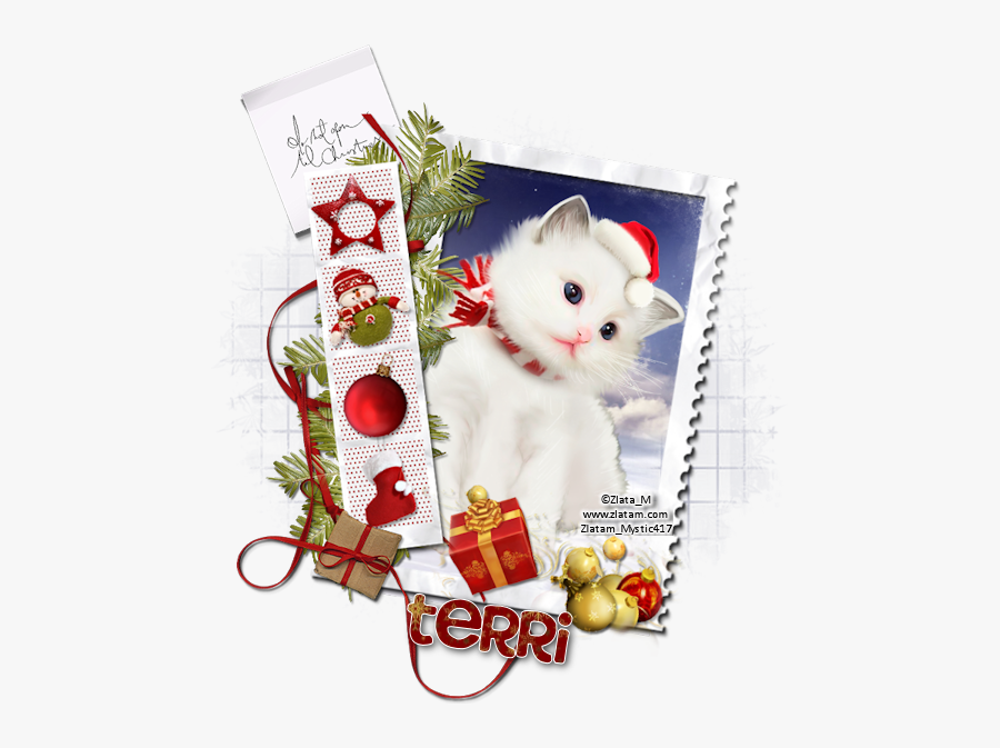 Clip Art Cute Pinterest Board Names - Cat, Transparent Clipart