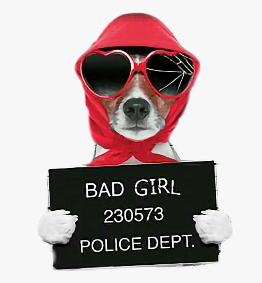 #badgirl #dog #mugshot, Transparent Clipart