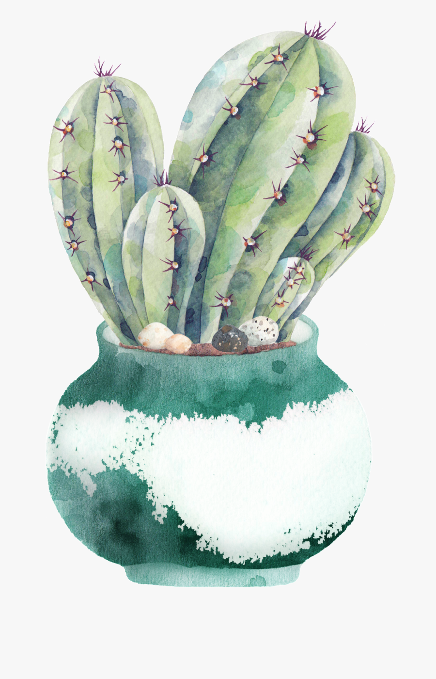 Hand Painted A Plate Of Cactus Png Transparent - Planting Cactus Watercolor Illustration, Transparent Clipart