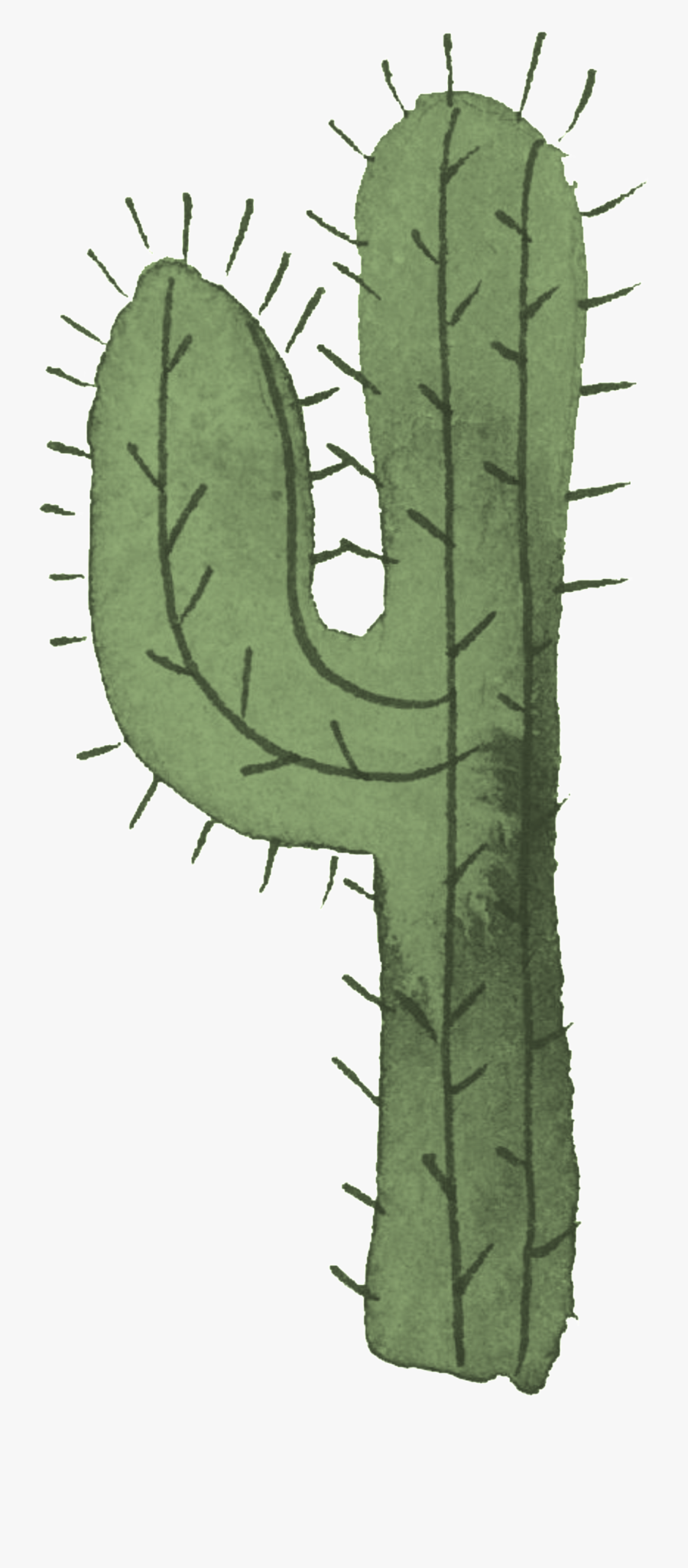 Cartoon Transparent For The Desert Cactus - Acanthocereus Tetragonus, Transparent Clipart