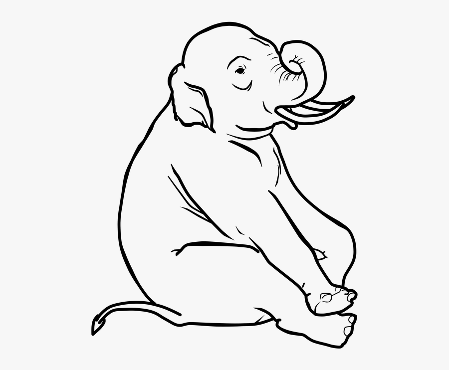 Clip Art Outline Animal - Animal Sit Outline Png, Transparent Clipart