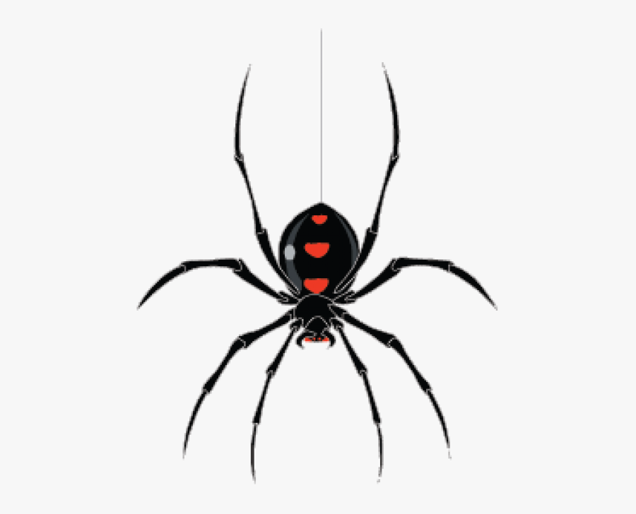 Spider Clip Art - Spider Hanging From Web, Transparent Clipart