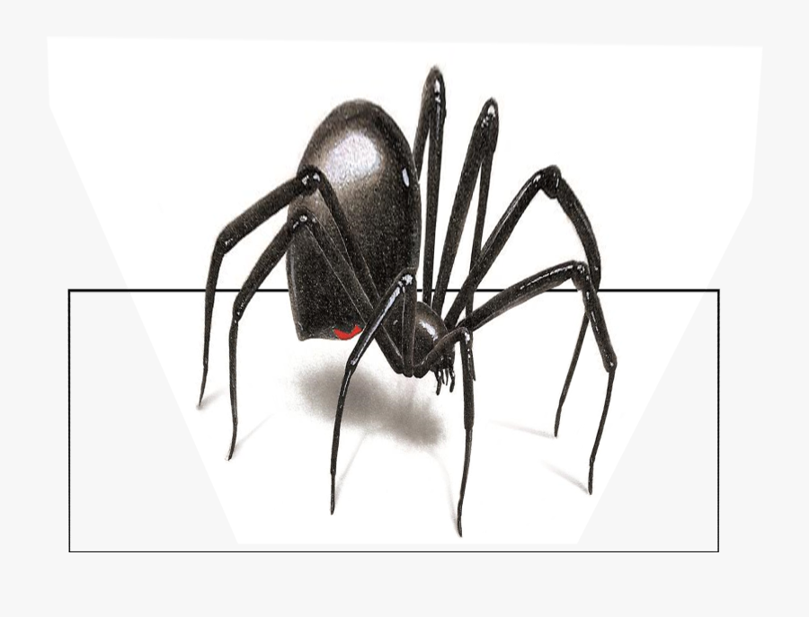 Black Widow, Transparent Clipart