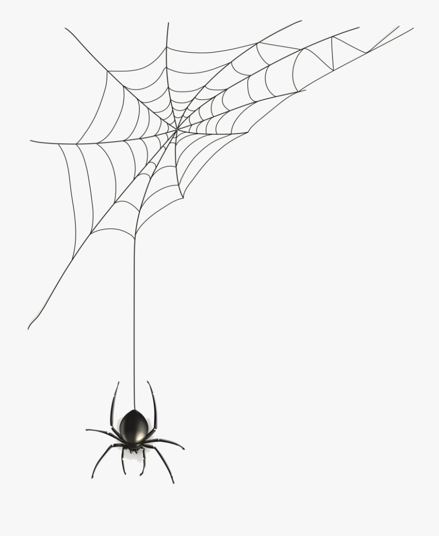 Drawing Insect Spider - Halloween Spider Web Drawing, Transparent Clipart