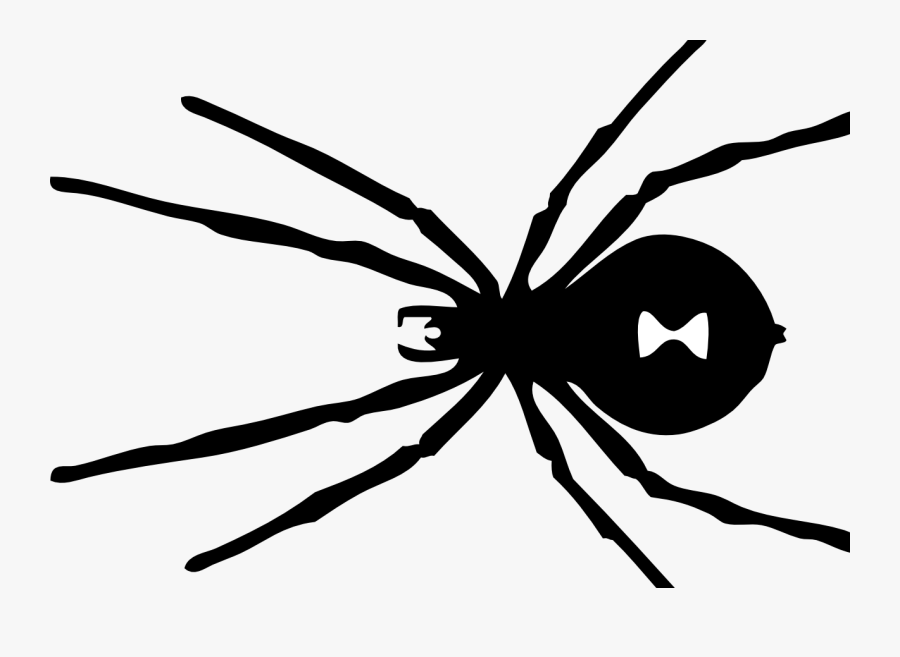 Is She Trying To Convey The Image Of A Woman Filled - Widow Spiders, Transparent Clipart